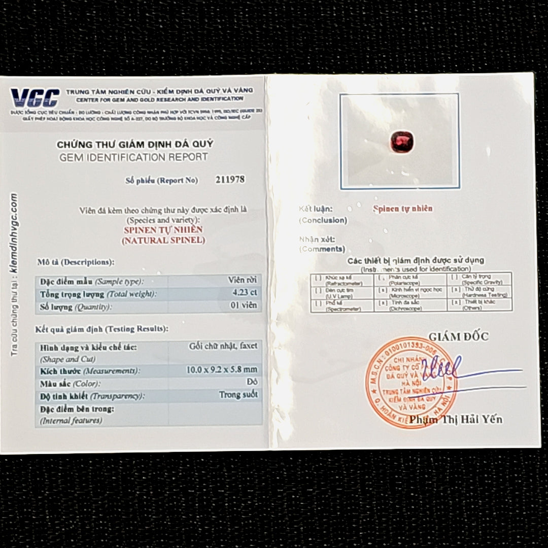2023-04-13-12-32-33.jpg