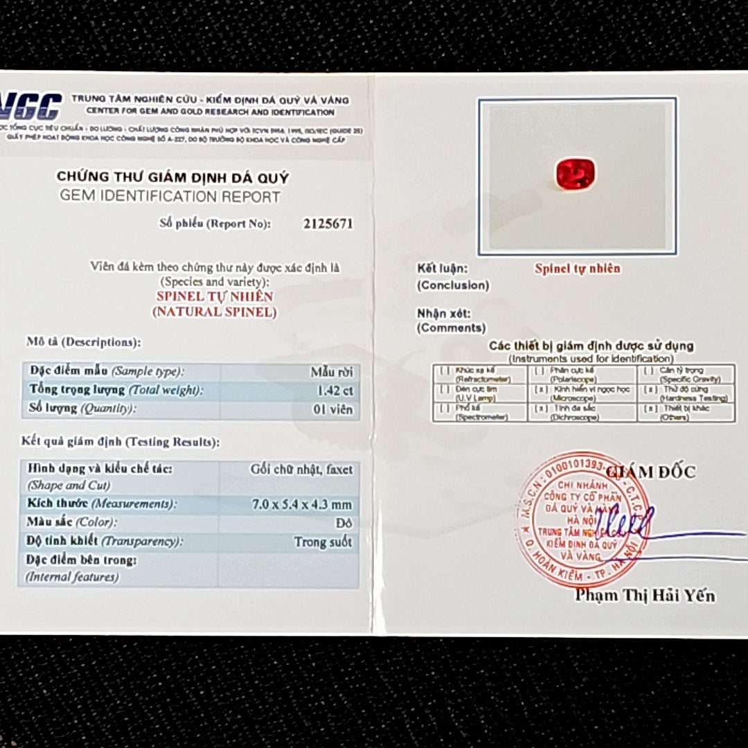 2023-04-13-13-06-18.jpg