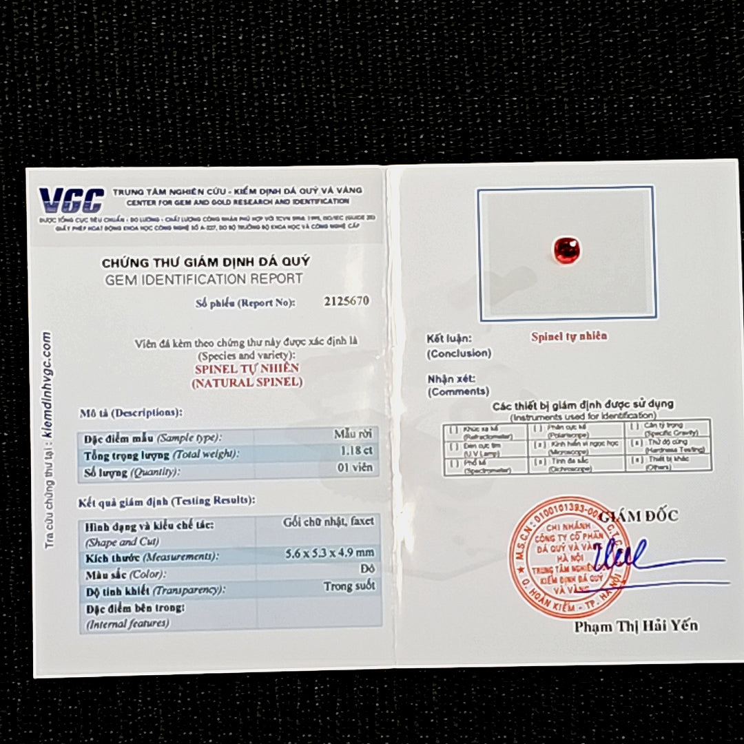 2023-04-13-11-30-01.jpg