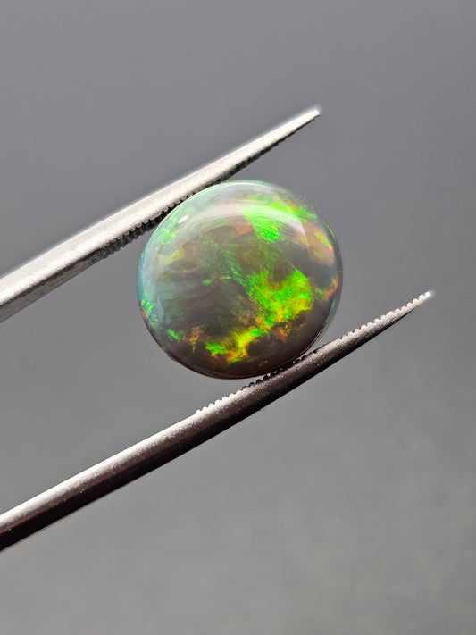 BLACK OPAL