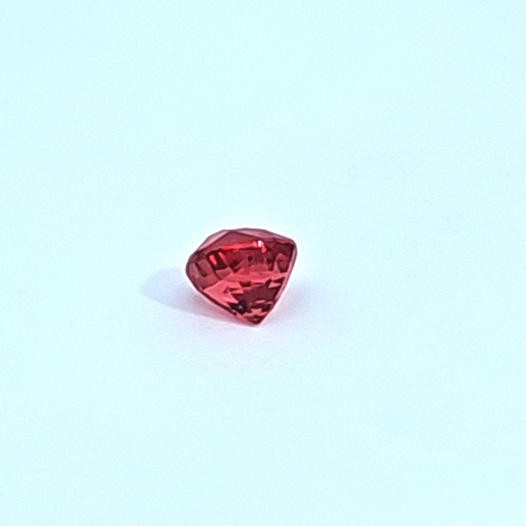 Untitled Product 28__2023-04-13-11-27-22.jpg