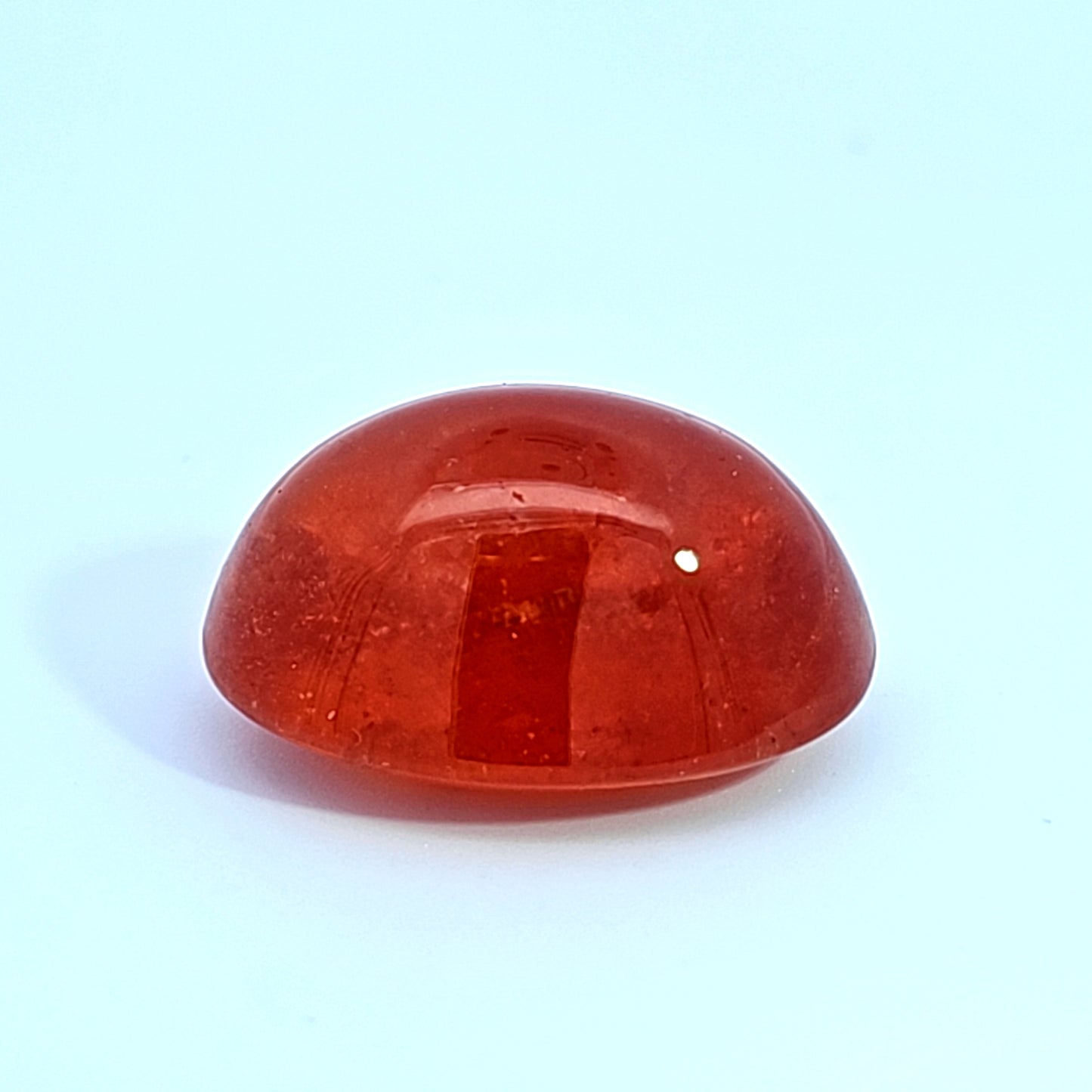 Untitled Product 73__2023-07-24-12-56-42.jpg