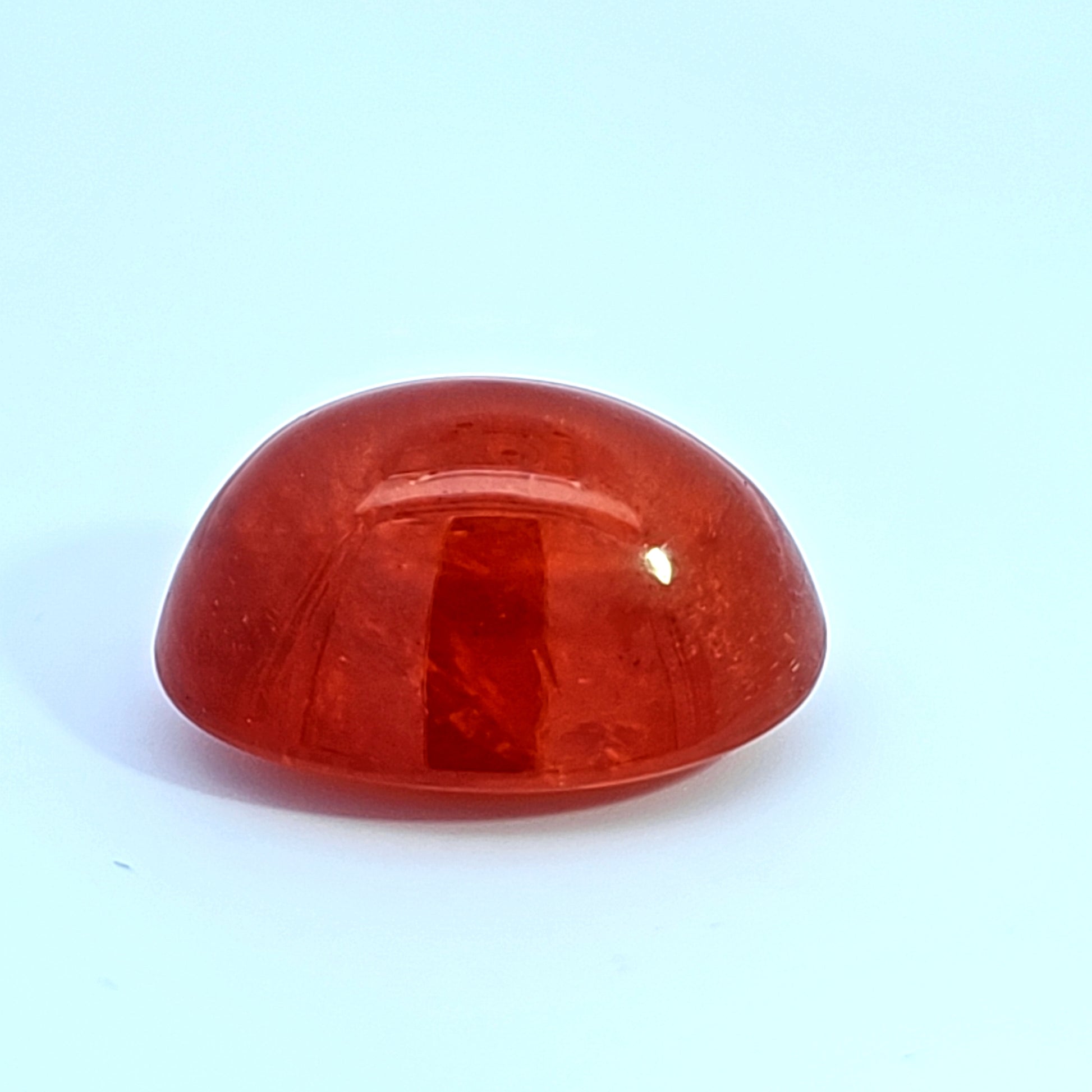 Untitled Product 73__2023-07-24-12-56-57.jpg