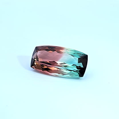 Untitled Product 73__2023-07-24-13-14-19.jpg