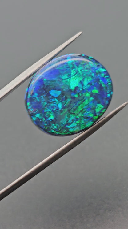 BLACK OPAL